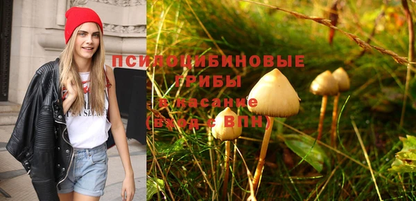 прущая мука Краснослободск