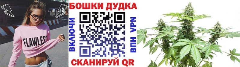 Канабис план  Купить где  Пестово 